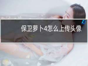 保卫萝卜4怎么上传头像