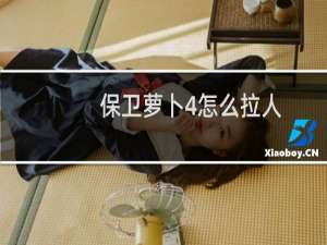 保卫萝卜4怎么拉人