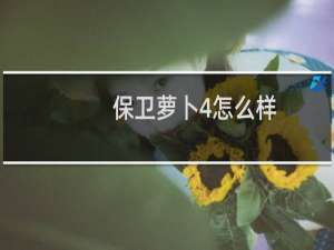 保卫萝卜4怎么样