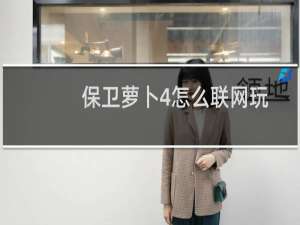 保卫萝卜4怎么联网玩