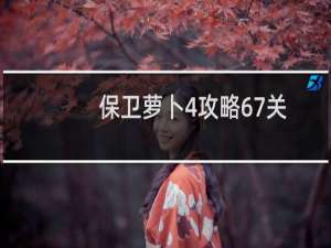 保卫萝卜4攻略67关