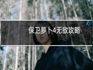 保卫萝卜4无敌攻略
