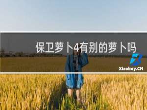 保卫萝卜4有别的萝卜吗