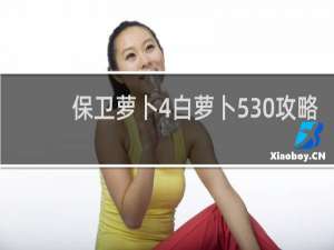 保卫萝卜4白萝卜530攻略