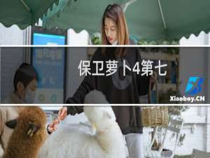 保卫萝卜4第七