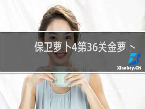 保卫萝卜4第36关金萝卜