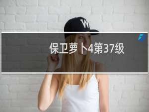 保卫萝卜4第37级