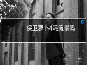 保卫萝卜4耗流量吗