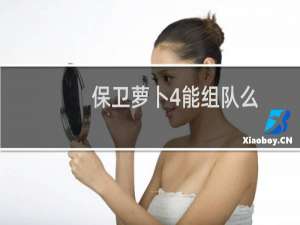 保卫萝卜4能组队么