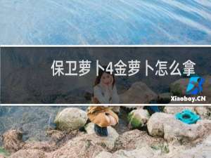 保卫萝卜4金萝卜怎么拿