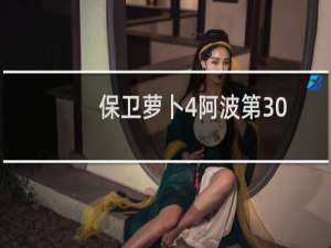 保卫萝卜4阿波第30