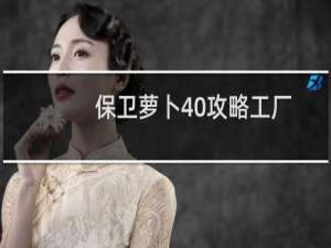 保卫萝卜40攻略工厂