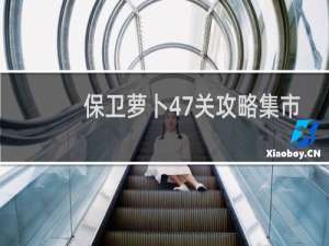 保卫萝卜47关攻略集市