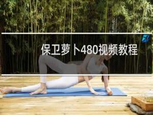 保卫萝卜480视频教程