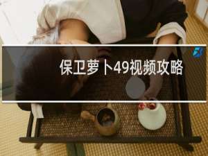 保卫萝卜49视频攻略