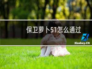 保卫萝卜51怎么通过