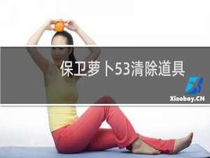 保卫萝卜53清除道具