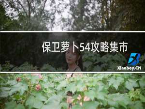 保卫萝卜54攻略集市