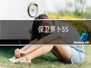 保卫萝卜55.关攻略