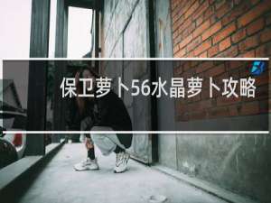 保卫萝卜56水晶萝卜攻略