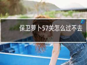 保卫萝卜57关怎么过不去