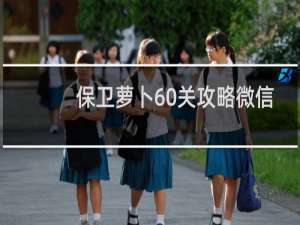 保卫萝卜60关攻略微信