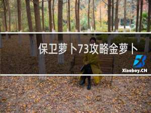 保卫萝卜73攻略金萝卜