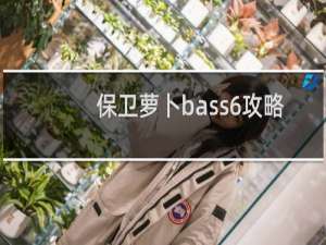 保卫萝卜bass6攻略