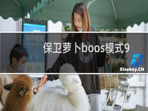 保卫萝卜boos模式9