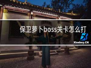 保卫萝卜boss关卡怎么打
