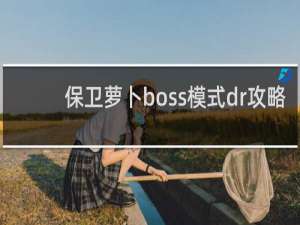 保卫萝卜boss模式dr攻略