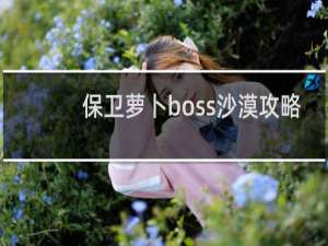 保卫萝卜boss沙漠攻略