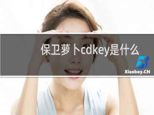 保卫萝卜cdkey是什么