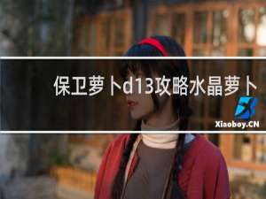 保卫萝卜d13攻略水晶萝卜
