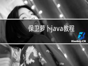 保卫萝卜java教程