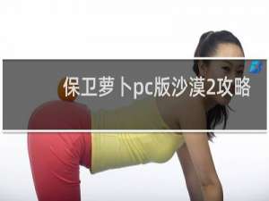 保卫萝卜pc版沙漠2攻略