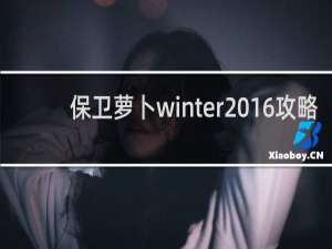 保卫萝卜winter 16攻略