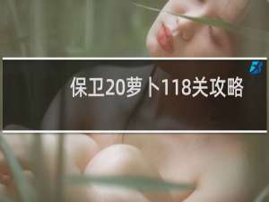 保卫 萝卜118关攻略