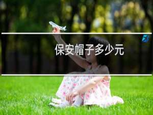 保安帽子多少元