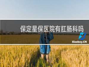 保定星保医院有肛肠科吗