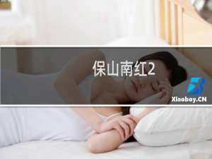 保山南红2.0手串价格