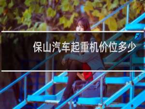 保山汽车起重机价位多少