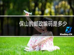 保山的邮政编码是多少