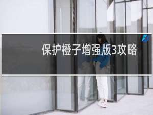 保护橙子增强版3攻略