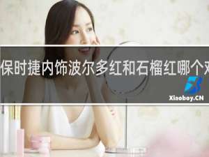 保时捷内饰波尔多红和石榴红哪个对比图