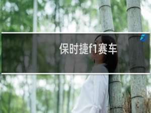 保时捷f1赛车