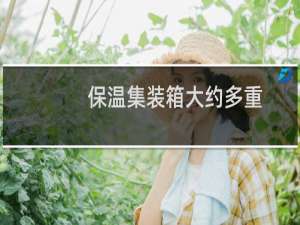 保温集装箱大约多重