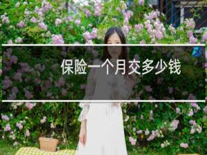 保险一个月交多少钱