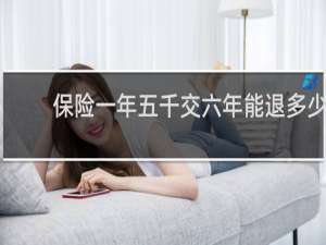 保险一年五千交六年能退多少