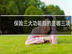 保险三大功能指的是哪三项